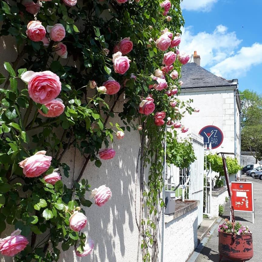 Yzeures-sur-Creuse Logis Hotel Restaurant Relais De La Mothe מראה חיצוני תמונה